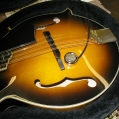 Fender Mandolin
