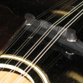 1928 Gibson Mandolin