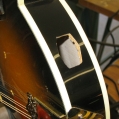 Fender Mandolin