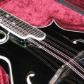 Handmade F-Style Mandolin