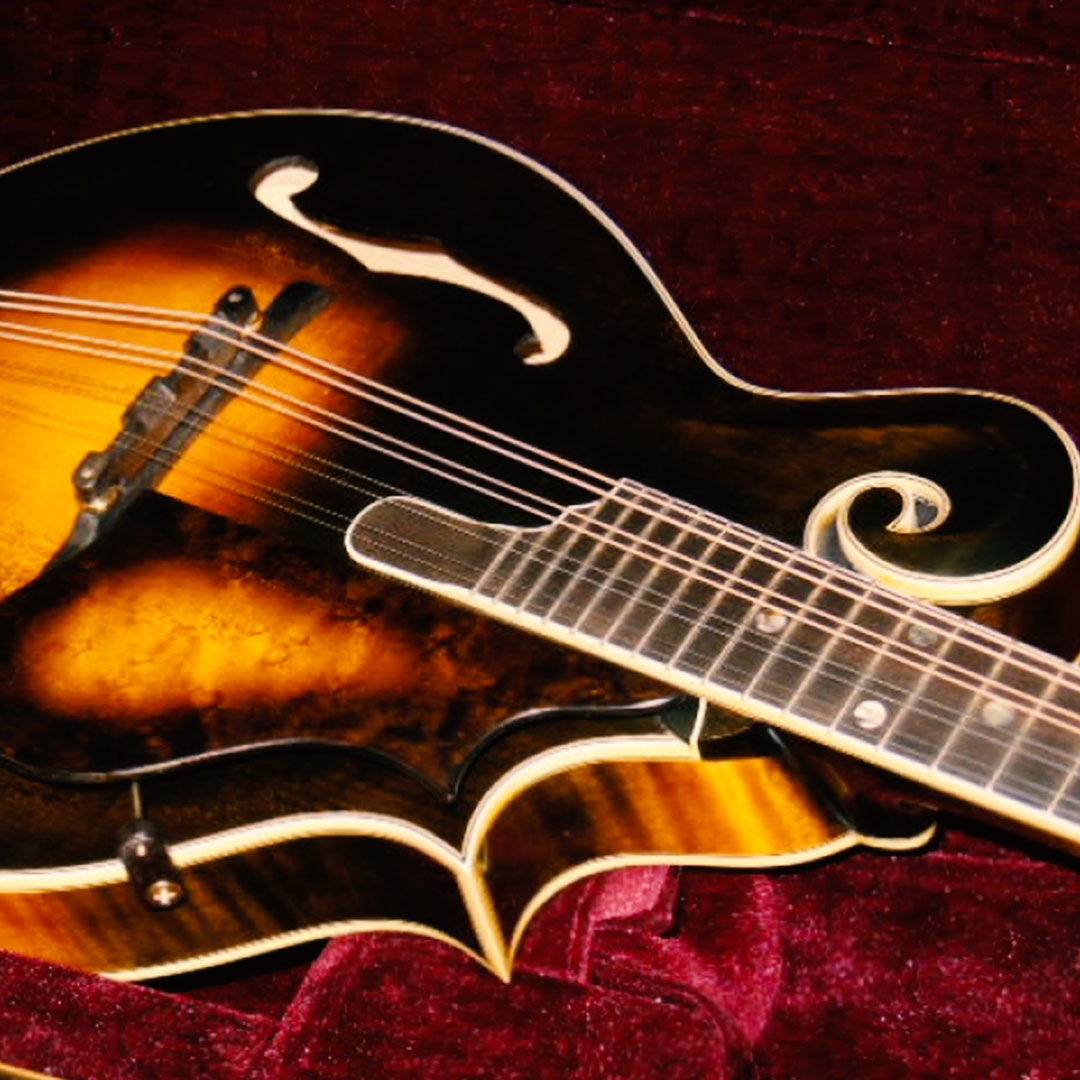 Other Instrument Repair