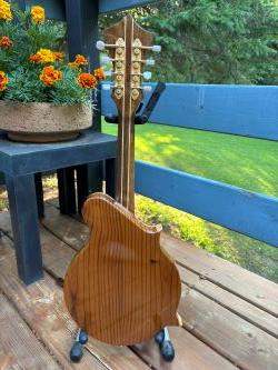 2024.07.08 - Mandolin 4 250x333