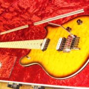 EVH Wolfgang Special - Complete Set-up.